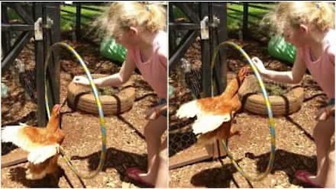 Bambina autistica addestra la gallina a saltare