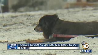 Council to vote on new off-leash beach policy