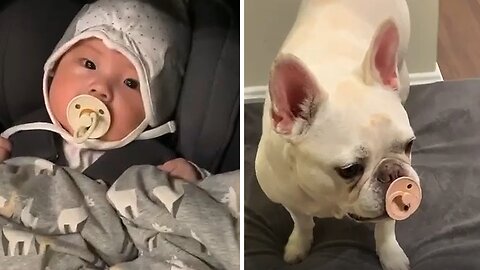 Baby & Doggy Both Enjoy Their Pacifiers