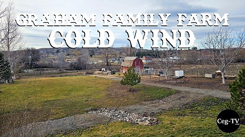 Graham Family Farm: Cold Wind