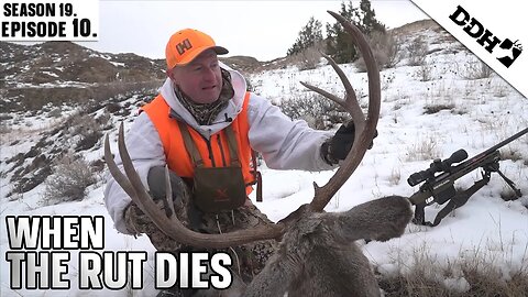 When the Rut Dies | Deer & Deer Hunting TV