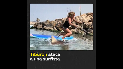 Una mujer cae sobre un tiburón que la atacaba