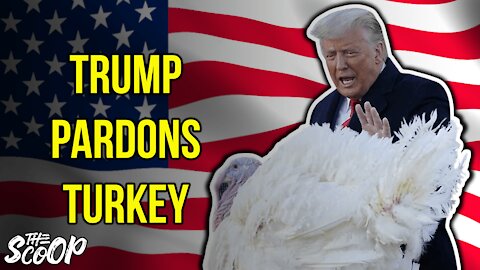President Trump Participates In 2020 Thanksgiving Turkey Pardon