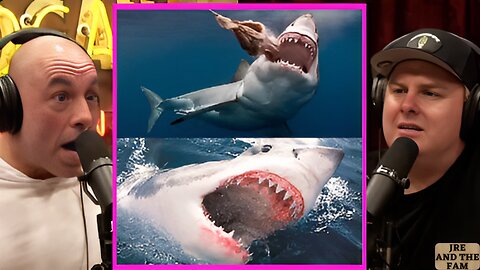 INSANE Shark Attacks! Joe Rogan & Tim Duncan