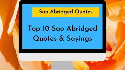 Sao Abridged Quotes ; Top 10 Sao Abridged Quotes & Sayings
