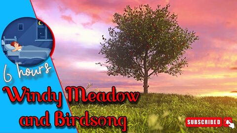 Meadow wind | Sound for sleep, dream, relax, stay calm, focus