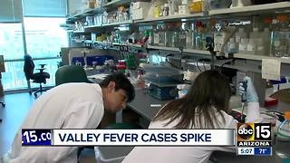 Valley fever cases spike across southwest