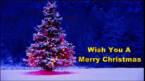 Wish You A Merry Christmas | Christmas Status video | Christmas Greeting Card xmas Tree Lights