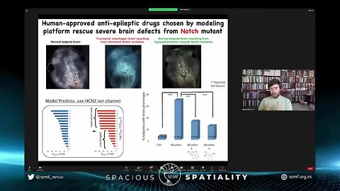 Biological Information beyond Genes; Bioelectricity, Michael Levin