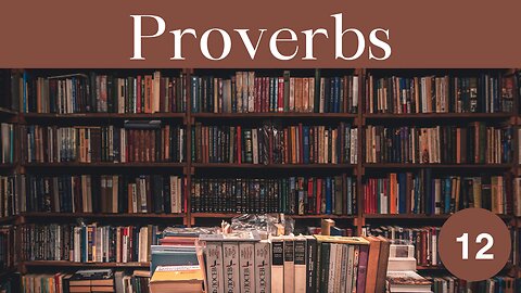 Proverbs Chapter 12 Bible Study