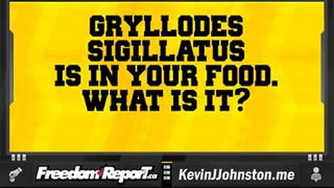 Why The F*CK You Need To Avoid Gryllodes Sigillatus In Your Food!