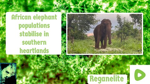 African elephant populations stabilise in southern heartlands
