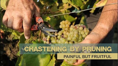 Chastening by Pruning, Painful but Fruitful