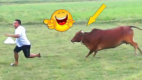 Don't Control your laugh 😂 😂 😂]Funniest videos ever 😂 Don't Control your laugh 😂 😂 😂