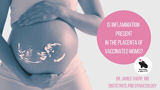 Is Inflammation Present In the Placenta of Vaccinated Moms?