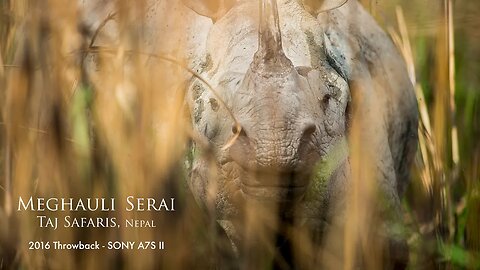 I shot another Wildlife Commercial in Nepal | 2016 Throwback - Chitwan National Park