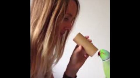 The most Funny Parrots Videos Compilation Cutest Parrots