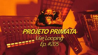 Live Looping em Homestudio EP.205 - Criando música na hora! #homestudio #livelooping #fingerdrumming