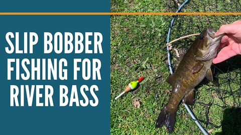 Slip Bobber Fishing For River Smallmouth Bass/ Michigan Fishing / River Fishing With Live Bait
