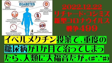 2022.12.22 リチャード・コシミズ新型コロナウイルス戦争４９９