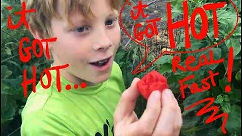 2023 Youtube Challenge. Licking the Carolina Reaper world's hottest pepper)