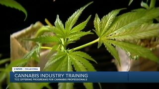 Tulsa Community College offers cannabis training program