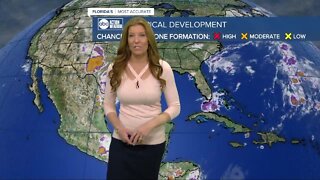 Tracking the Tropics | June 4, Morning Update