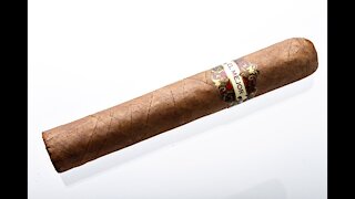 El Mejor Robusto Cigar Review
