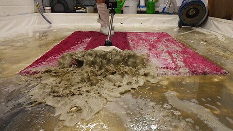 From Right Stink To Bright Pink. INCREDIBLE Timelapse Restoration. Satisfying ASMR Carpet Cleaning