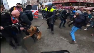 Police Beat Back COVID Mandate Protestors in Amsterdam