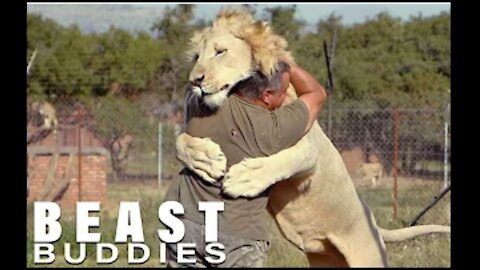 The Man Who Cuddles Lions _ BEAST BUDDIES