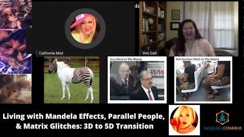 Matrix Glitches, Parallel People, & Mandela Effects w/Von Galt + Cali, Mr. Biffles