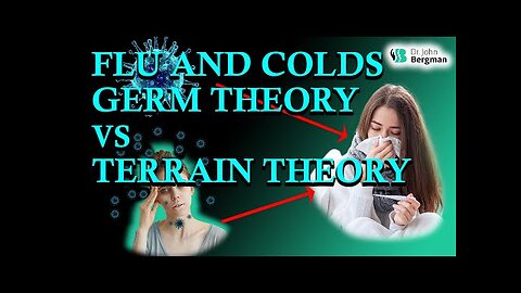 Flu and Colds Germs Theory vs Terrain Theory