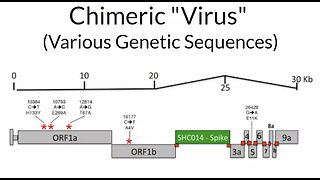 Why ALL viruses originate in laboratories