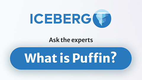 What Is Puffin?