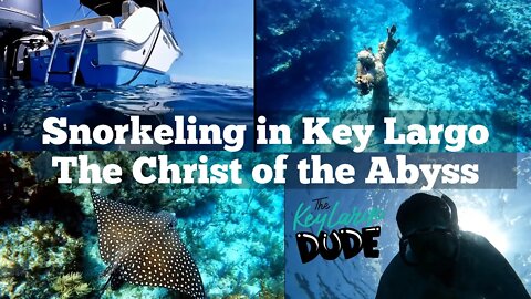 Snorkeling The Christ of the Abyss with a Spotted Eagle Ray! Key Largo Dry Rocks Reef