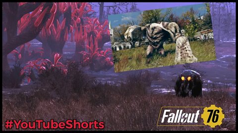 Fallout76 Grafton Monster Hunt | #YouTubeShorts