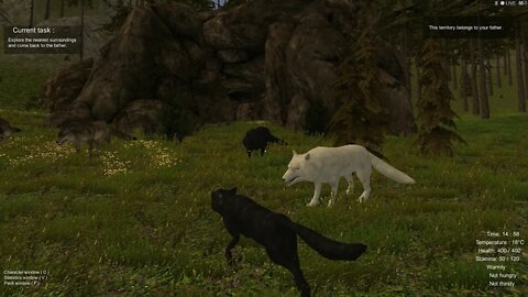 Wolf Simulator Gameplay