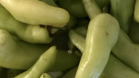 Packaging Sweet Pepper Seeds