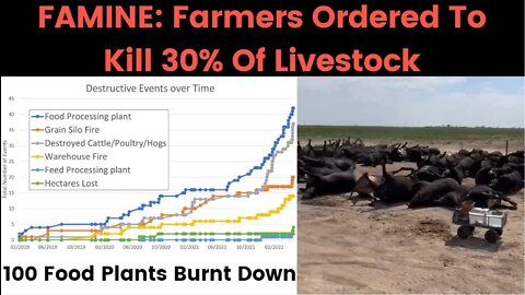 FAMINE Dutch to cull 30% of livestock!