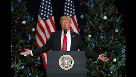 Donald Trump, Trump, President of the United States, President Trump, Trump at Christmas
