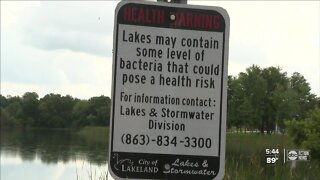 No swimming, boating in three Polk County Lakes where blue-green algae found