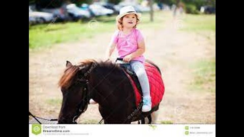 The cutest little toddler horse rider and her pony