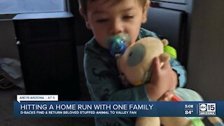 D-backs help return lost stuffed animal to Arizona fan
