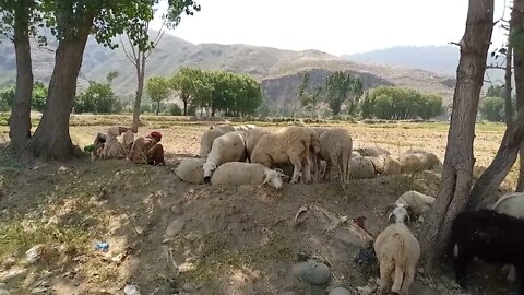 river swat visit with friends