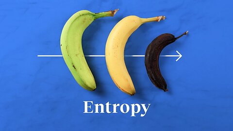 The physics of time, entropy, and immortality | Sabine Hossenfelder