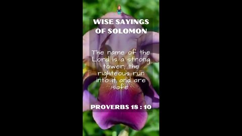 Proverbs 18:10 | NRSV Bible - Wise Sayings of Solomon