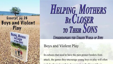 Excerpt Helping Mothers be Closer to Their Sons - Boys and Violent Play