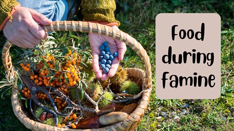 The Best Foraging Books- Worldwide! | Food During Famine and Food Shortages
