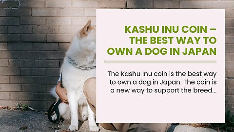 Kashu Inu Coin – The Best Way to Own a Dog in Japan